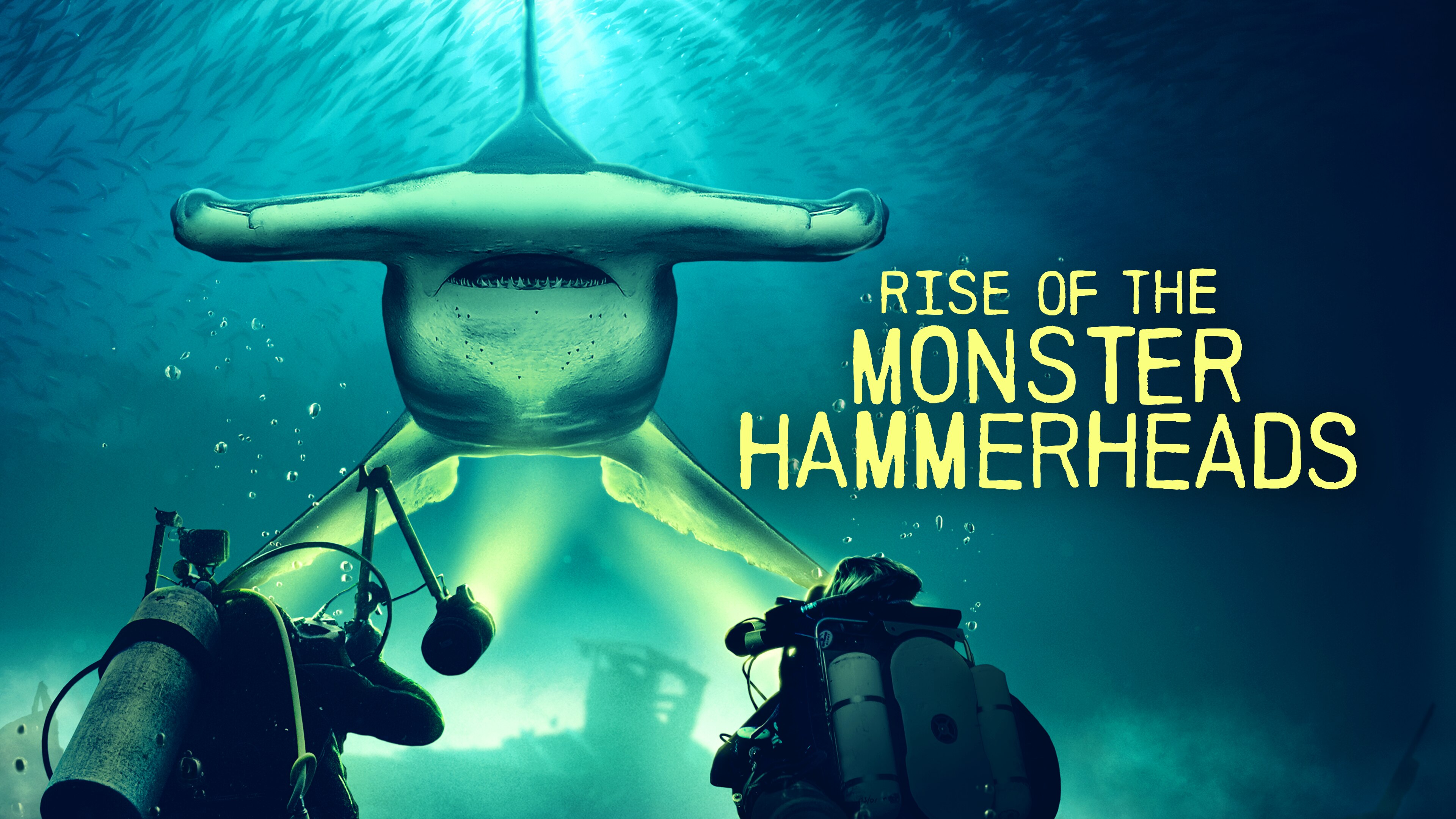 Monster Hammerheads: Killer Instinct